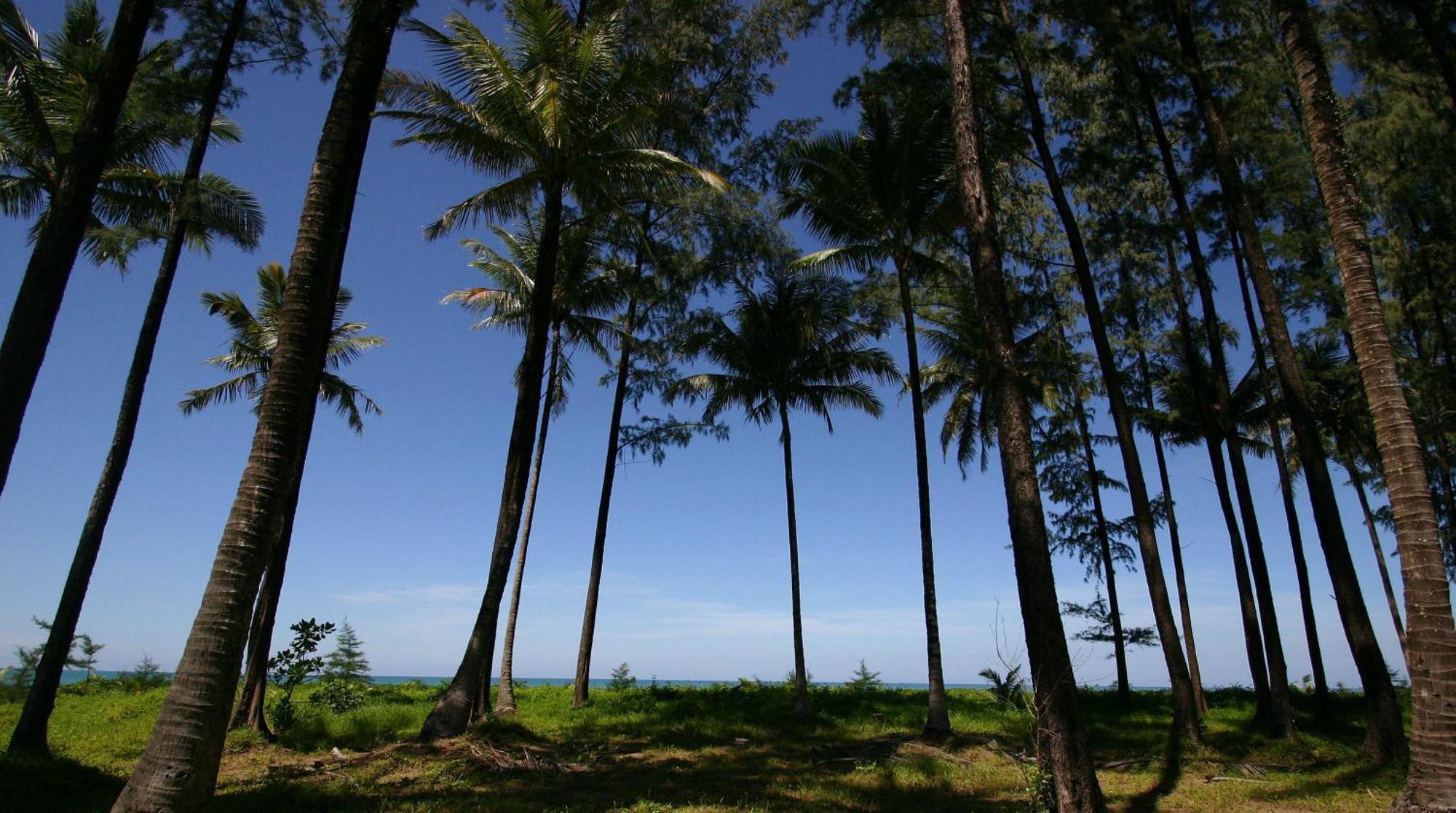 Khaolak Blue Lagoon Resort - Sha Extra Plus خاو لاك المظهر الخارجي الصورة